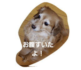 263135898