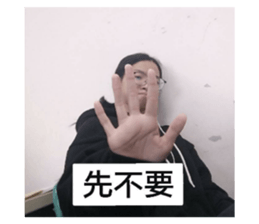 263142067