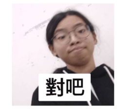 263142072