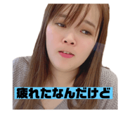 263150838