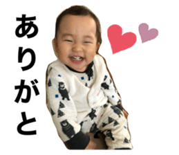 263162721