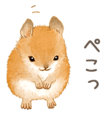 263188155