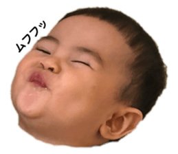 263244062
