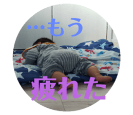 263287118