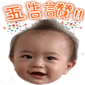 263311560