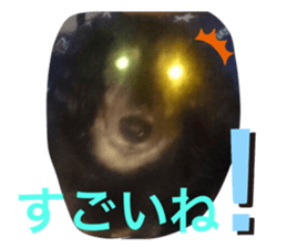 263324917