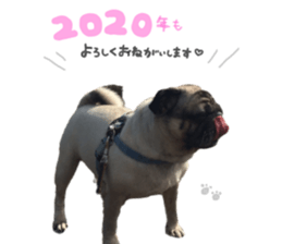 263358907