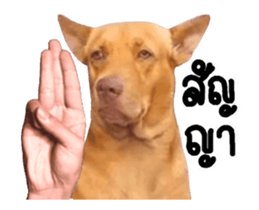 263360189