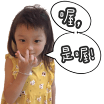 263412956