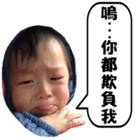 263412989