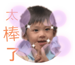 263431063