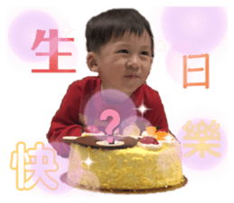 263431067