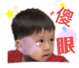 263431071