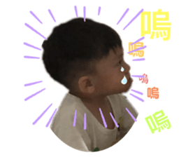 263431079
