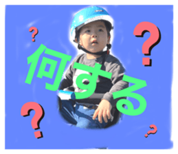 263445966