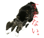 263454139
