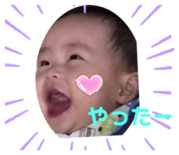 263455350