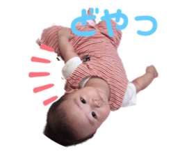 263455353