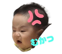 263455357