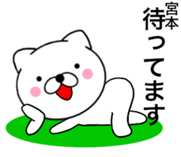 26355697