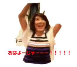 263562538