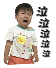 263575879