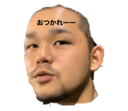 263576798