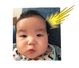 263582195