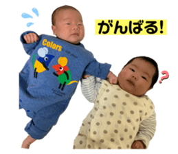 263595677