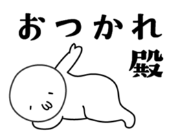 26364237