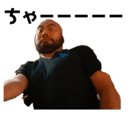 263673943
