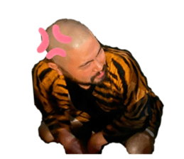 263673950
