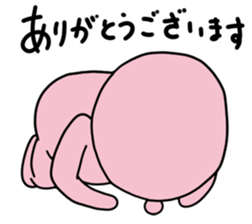 2637236