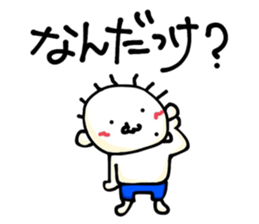 263791236