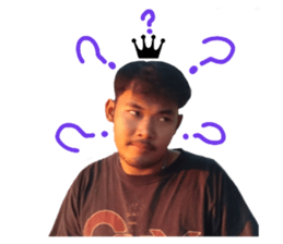 263791823
