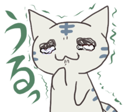 2638113