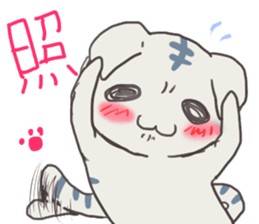 2638136