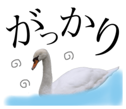263815332