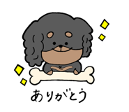 263815566