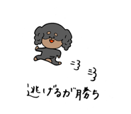 263815579