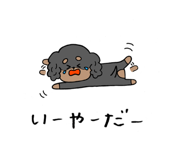 263815587