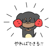 263815591