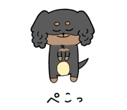 263815592