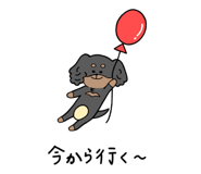 263815599