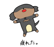 263815601
