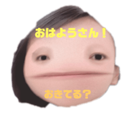 263845610