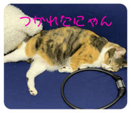 263906390
