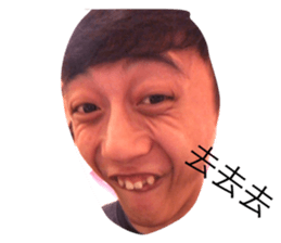 26395449