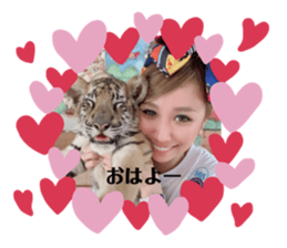 264048524