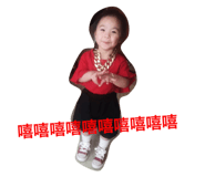 26404989